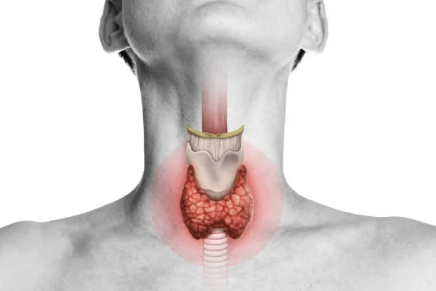 ПК Заболевания щитовидной и околощитовидных желез 72ч